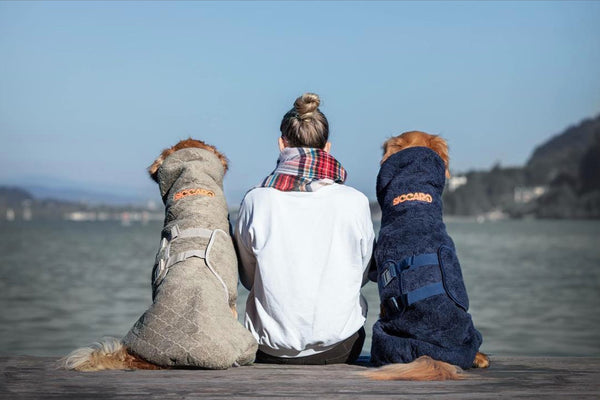 4 Möglichkeiten, den Hundebademantel und die Trocknungsmatte im Sommer zu nutzen