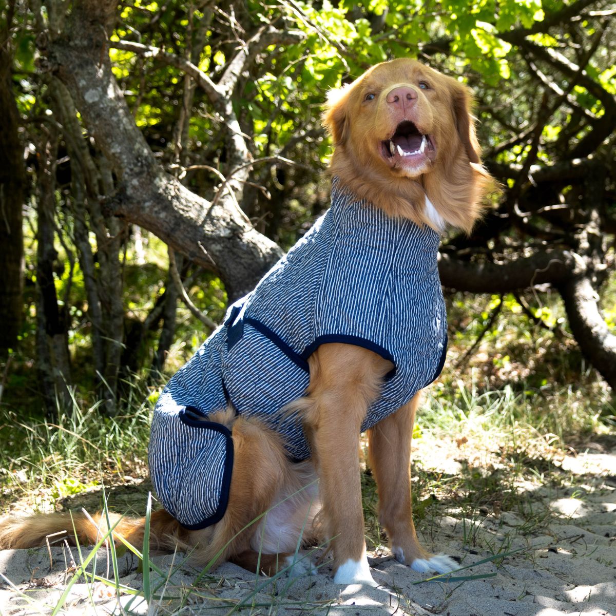 Denim Summer Edition / 45