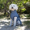 Denim Summer Edition / 50