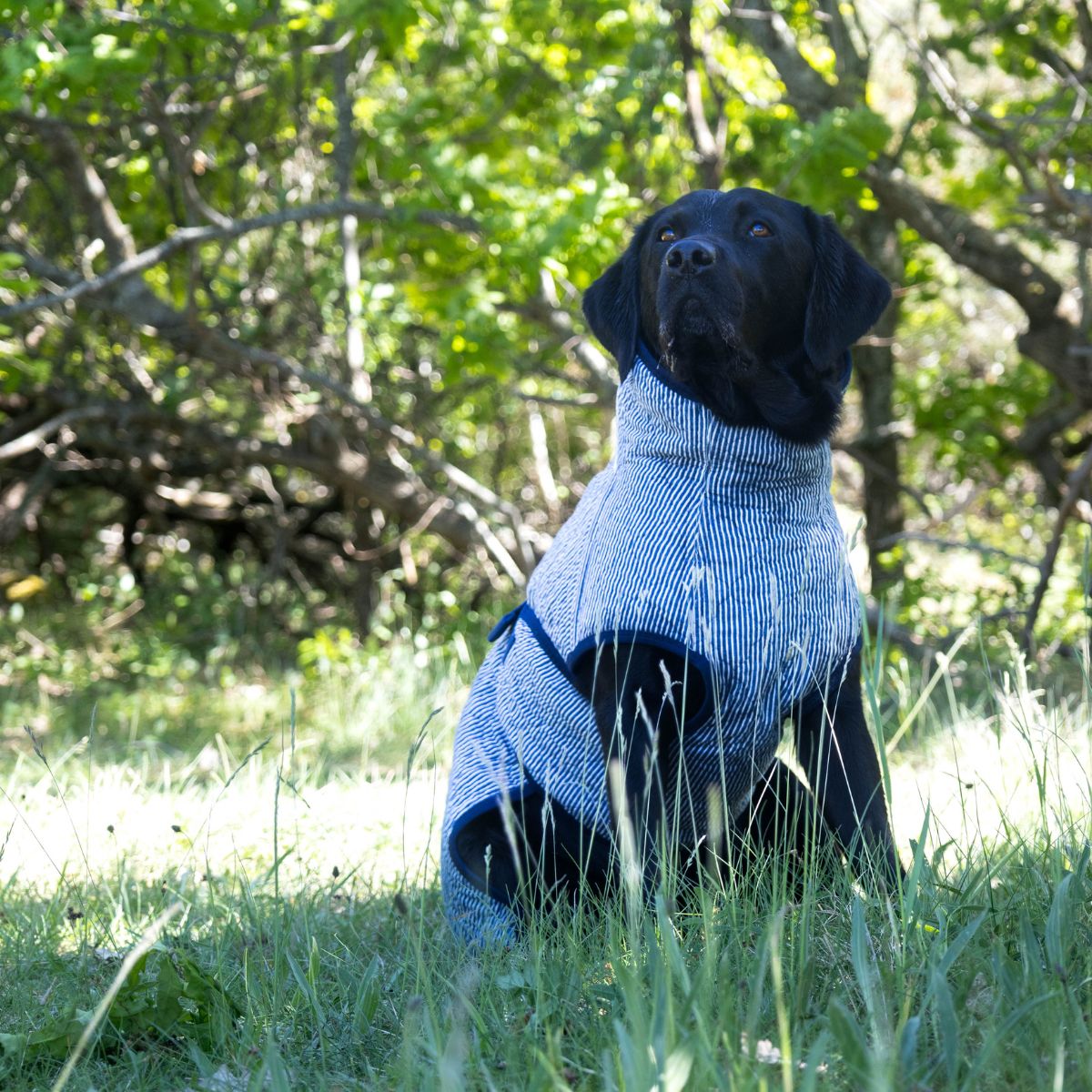 Denim Summer Edition / 55