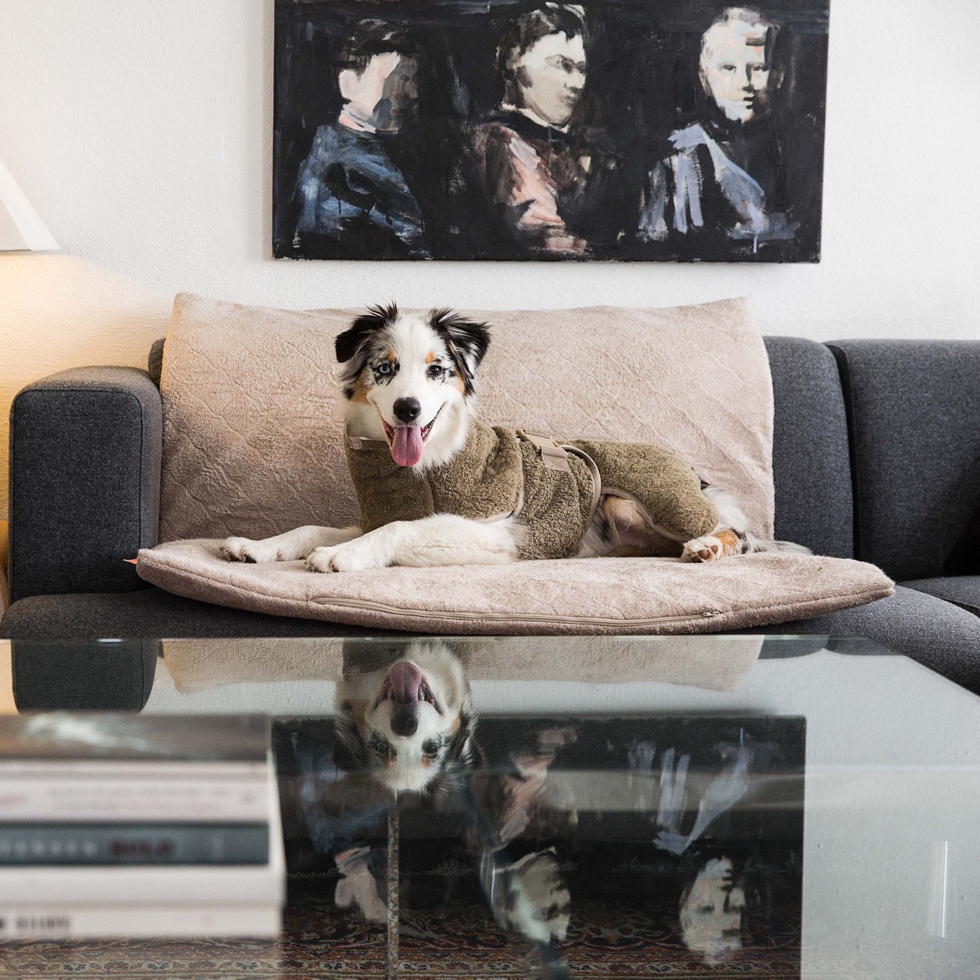FlexDog Trockenmatte / 90x110