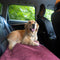 FlexDog Drying Mats / Narrow edt.
