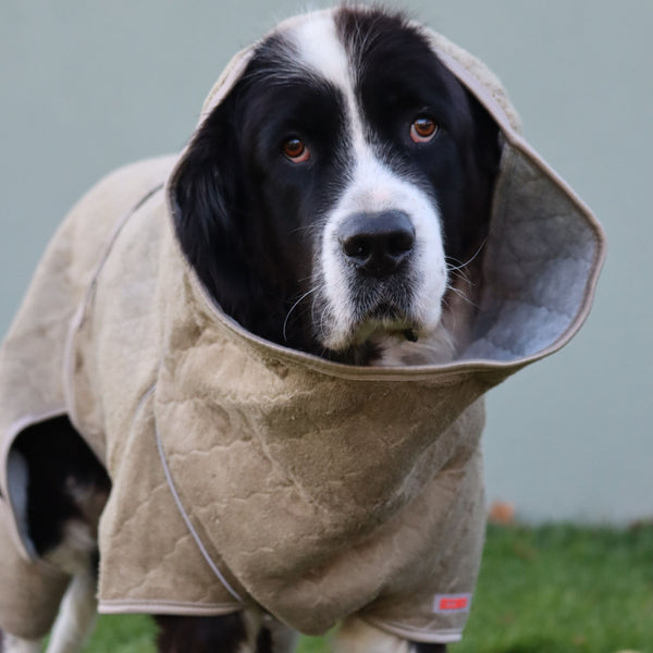 Siccaro Lösung / Trockenanzug für Hunde / 80 Drying Coats