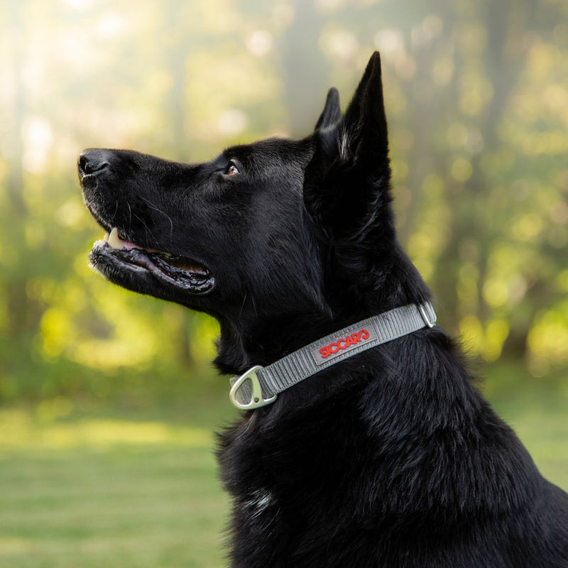Siccaro Sealines-Halsband / 100 % recyceltes Nylon Leashes and collars