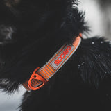 Siccaro Sealines-Halsband / 100 % recyceltes Nylon Leashes and collars