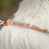 Siccaro Sealines-Halsband / 100 % recyceltes Nylon Leashes and collars