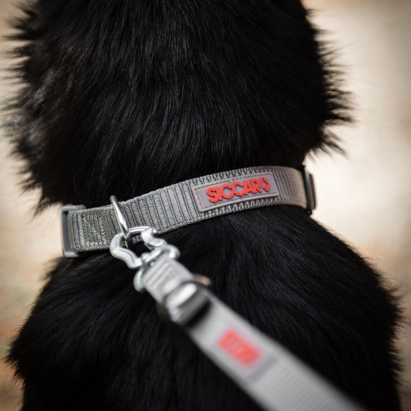 Siccaro Sealines-Halsband / 100 % recyceltes Nylon Leashes and collars