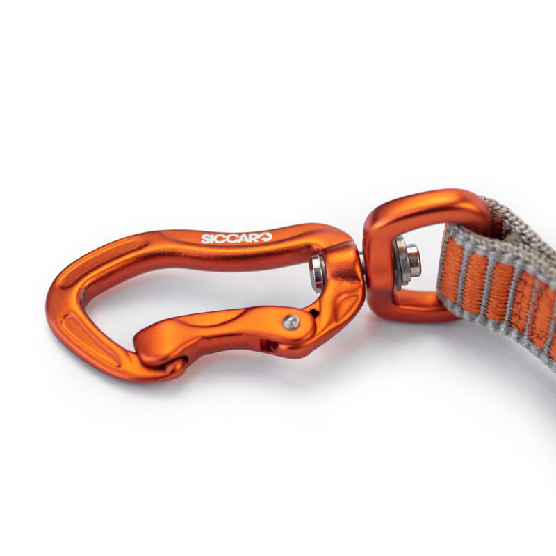 Siccaro Sealines Hundeleine / 100% recyceltes Nylon Leashes and collars