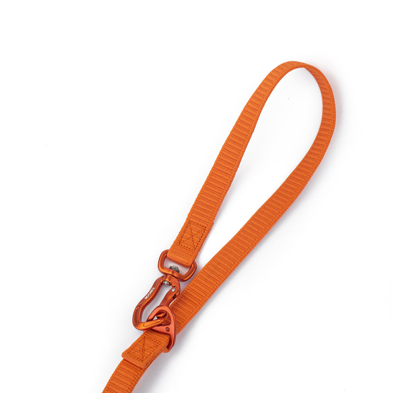 Siccaro Sealines Hundeleine / 100% recyceltes Nylon Leashes and collars