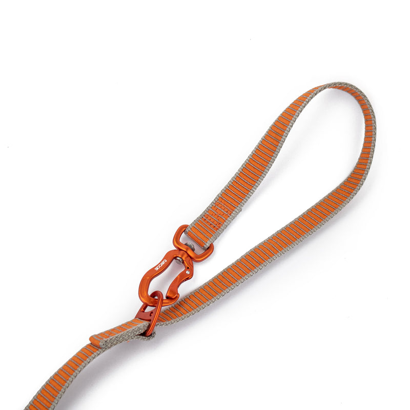 Siccaro Sealines Hundeleine / 100% recyceltes Nylon Leashes and collars