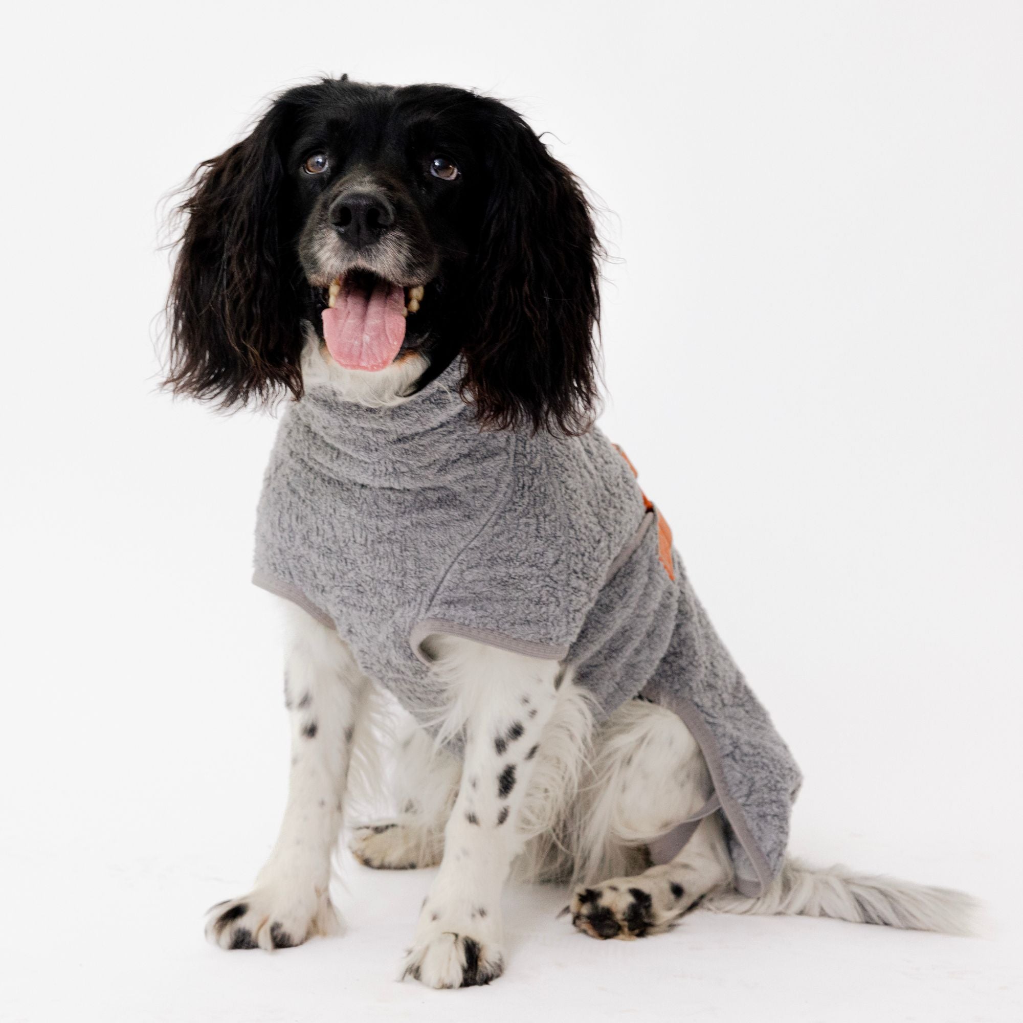 Siccaro Selected / 40