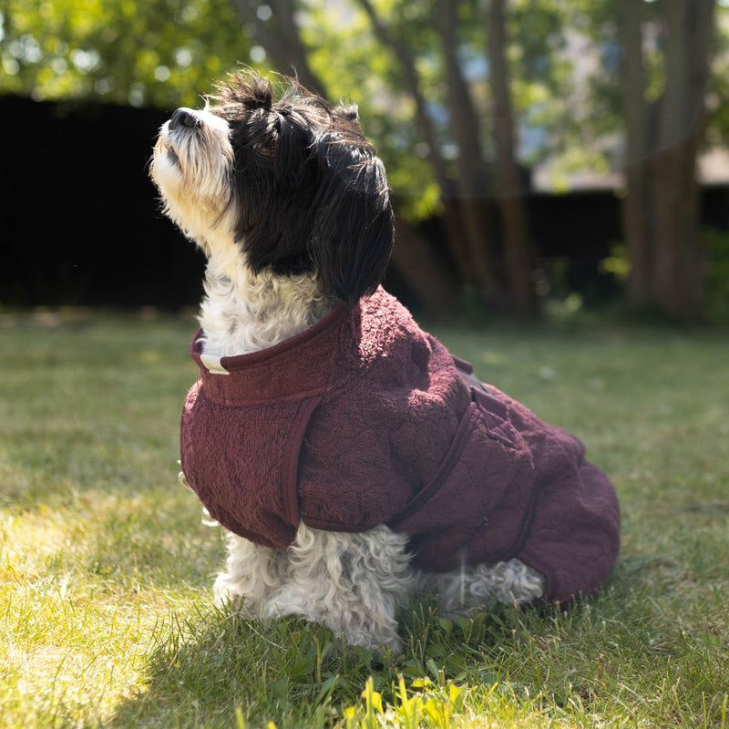 Siccaro Smart / Trockenanzug für Hunde / 25 Drying Coats