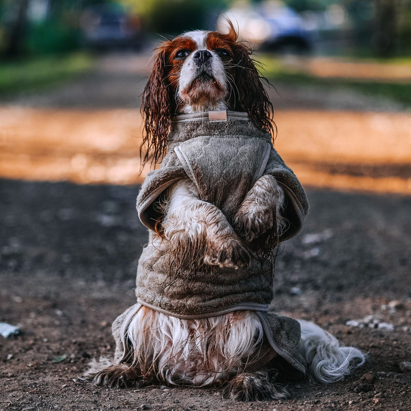 Siccaro Smart / Trockenanzug für Hunde / 25 Drying Coats