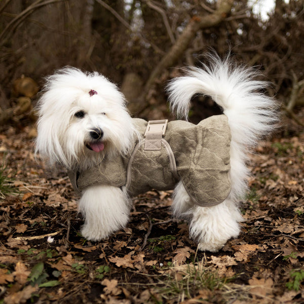 Siccaro Smart / Trockenanzug für Hunde / 30 Drying Coats