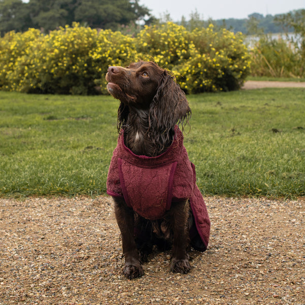 Siccaro Smart / Hundebademantel / 35 Drying Coats
