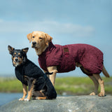 Siccaro Smart / Trockentauchanzug für Hunde / 35 Drying Coats