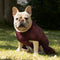 Smart / Hundebademantel / 40
