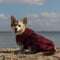 Smart / Hundebademantel / 45