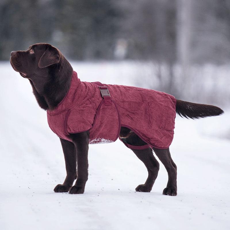 Siccaro Smart / Hundebademantel / 50 Drying Coats