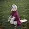 Smart / Hundebademantel / 60