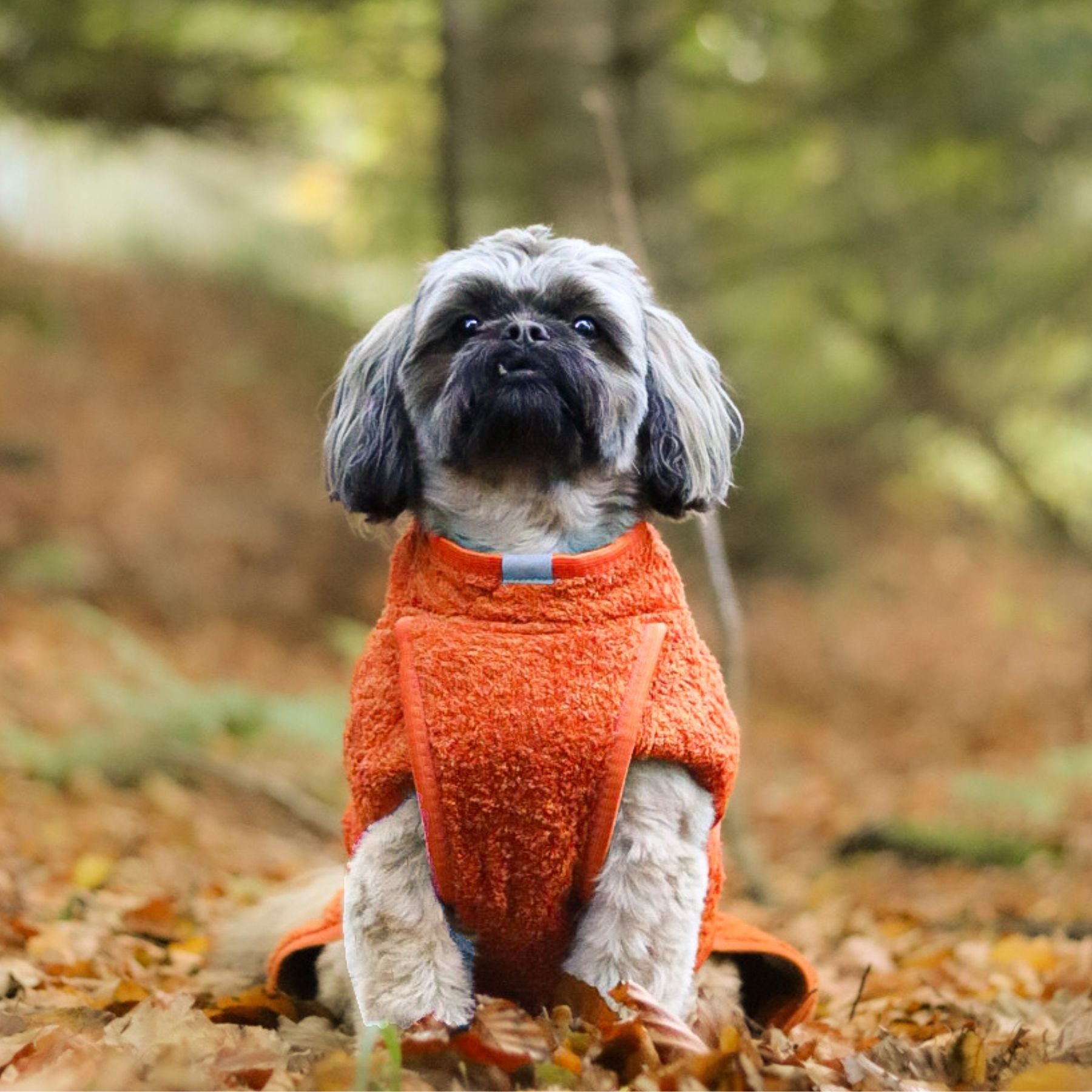 Smart / Hundebademantel / 30