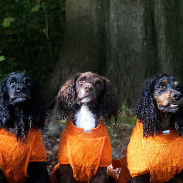 Siccaro Smart / Hundebademantel / 40 Drying Coats