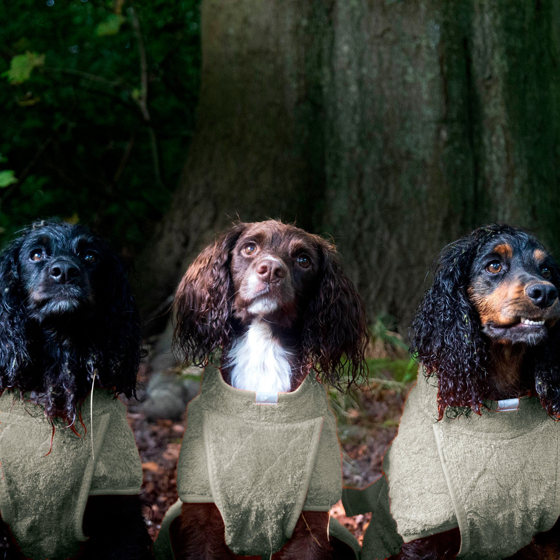 Smart / Hundebademantel / 40