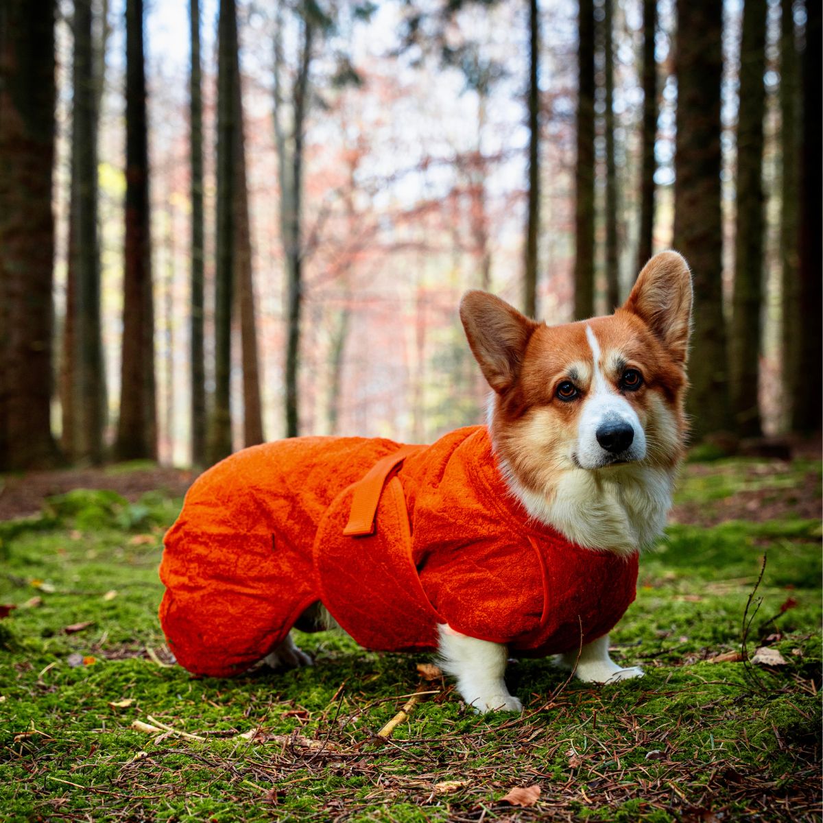 Smart / Hundebademantel / 45