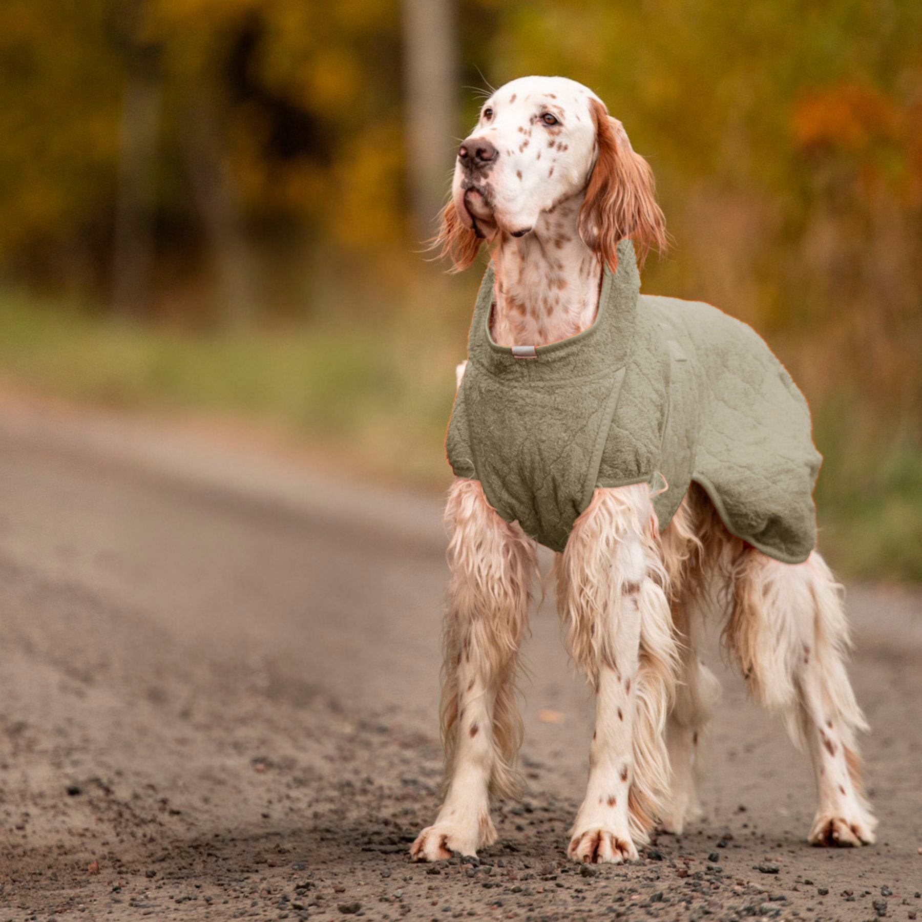 Smart / Hundebademantel / 55