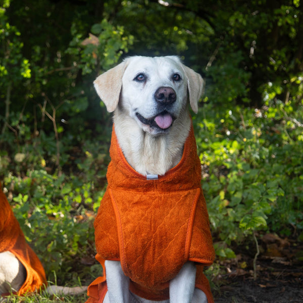 Siccaro Smart / Hundebademantel / 60 Drying Coats