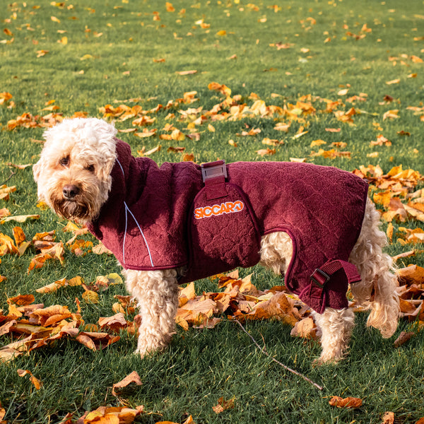 Siccaro Lösung / Trockenanzug für Hunde / 40 Drying Coats