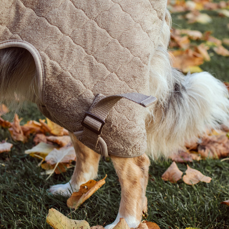 Siccaro Lösung / Trockenanzug für Hunde / 40 Drying Coats