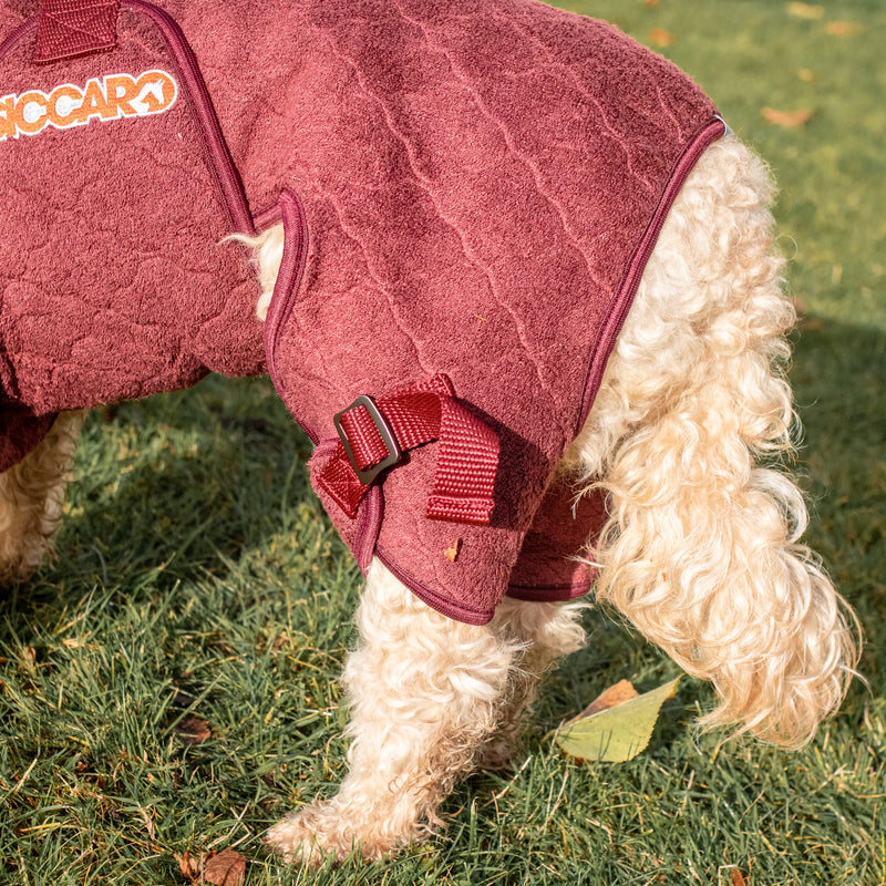 Siccaro Lösung / Trockenanzug für Hunde / 40 Drying Coats