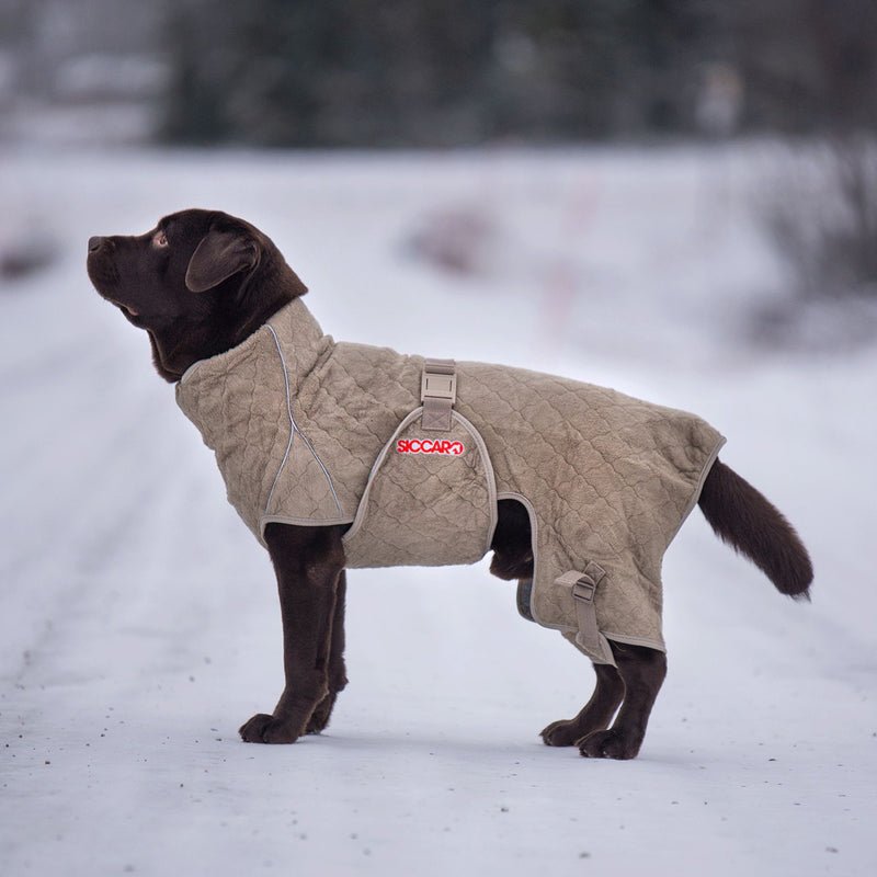 Siccaro Lösung / Trockenanzug für Hunde / 45 Drying Coats