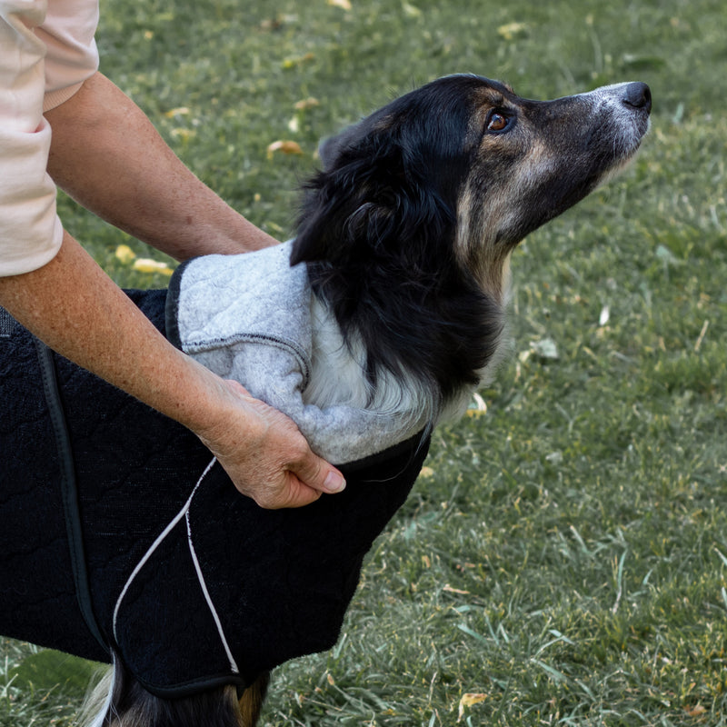 Siccaro Lösung / Trockenanzug für Hunde / 45 Drying Coats