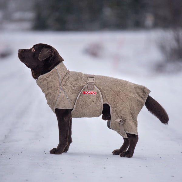 Siccaro Lösung / Trockenanzug für Hunde / 50 Drying Coats