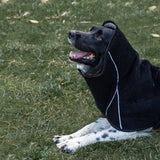 Siccaro Lösung / Trockenanzug für Hunde / 55 Drying Coats