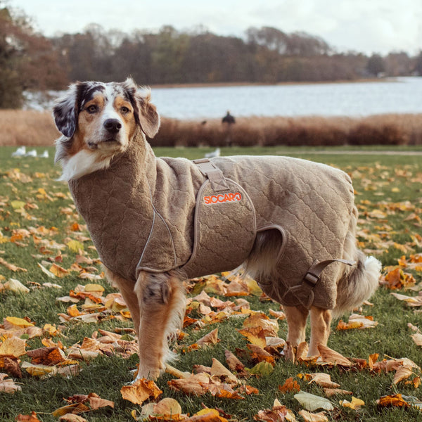 Siccaro Lösung / Trockenanzug für Hunde / 55 Drying Coats