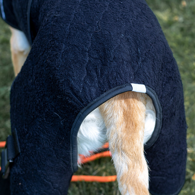 Siccaro Lösung / Trockenanzug für Hunde / 55 Drying Coats