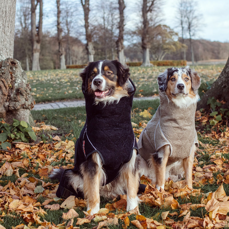 Siccaro Solution / Hundebademantel / 60 Drying Coats