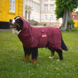 Siccaro Solution / Hundebademantel / 70 Drying Coats