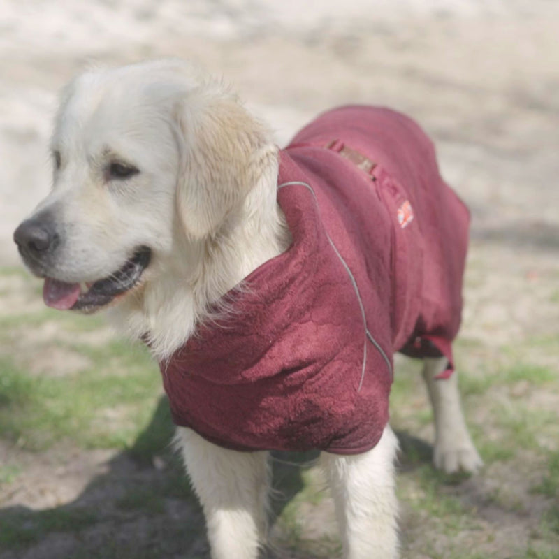 Siccaro Solution / Hundebademantel / 70 Drying Coats