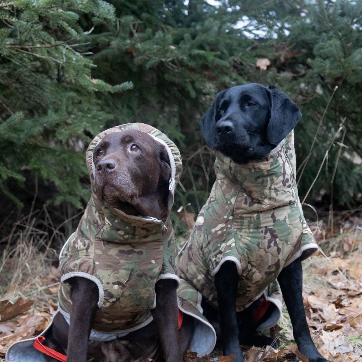 Spirit Pro - Limited Edition / L+