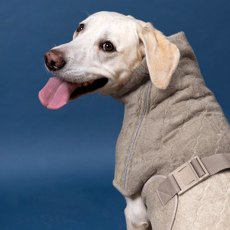 Siccaro Supreme 3.0 / 55 Drying Coats