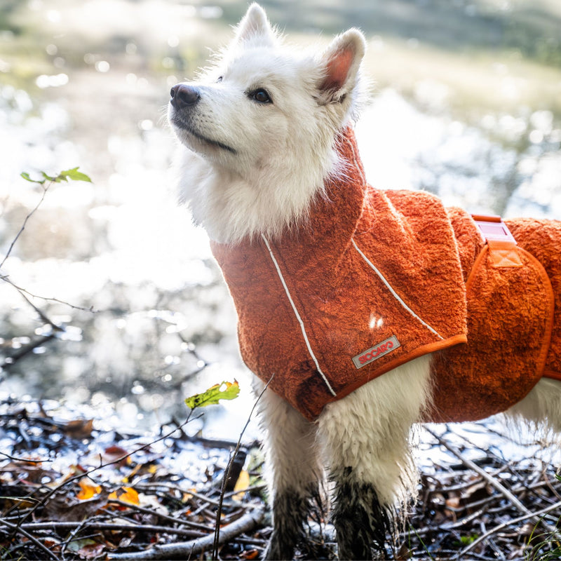 Siccaro Supreme 3.0 / 55 Drying Coats